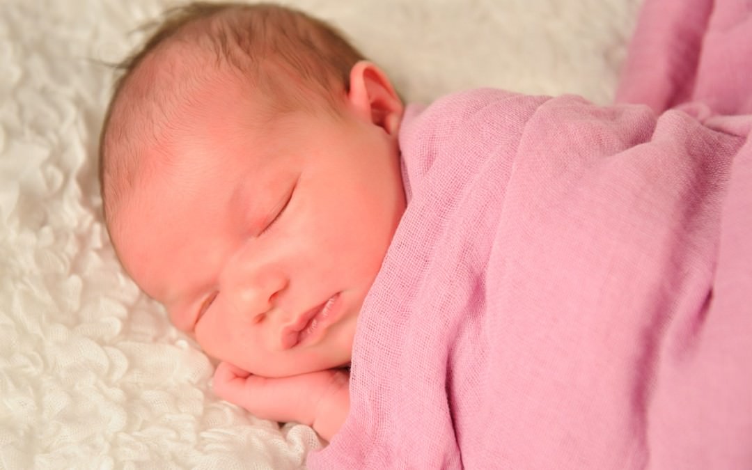 Newborn Photographer Brisbane