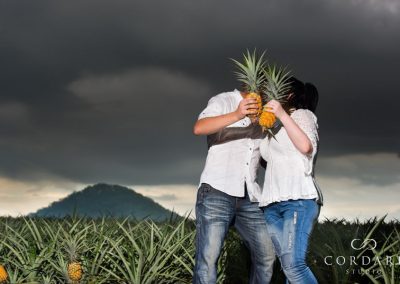 Couple kissing behind pineapples